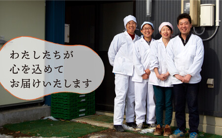 【定期便6ヶ月】訳あり野菜セット 約3～4種類 農家のおすそわけ 旬 野菜セット