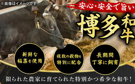 【博多和牛】ヒレステーキ 450g（150g×3枚） / ステーキ ヒレ 赤身 和牛[AFBO105]