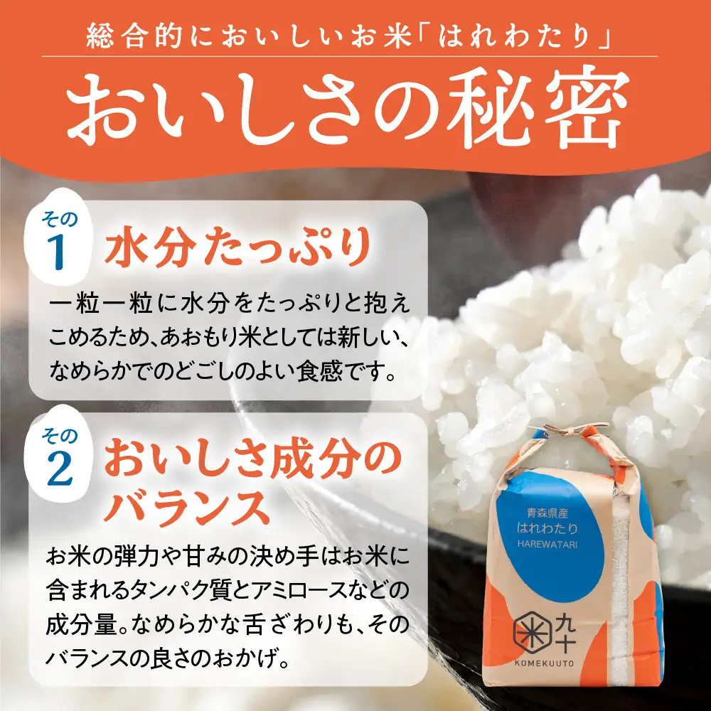 【定期便 6ヶ月】 米 10kg はれわたり 青森県産 (精米) 定期便6回 10kg×6回