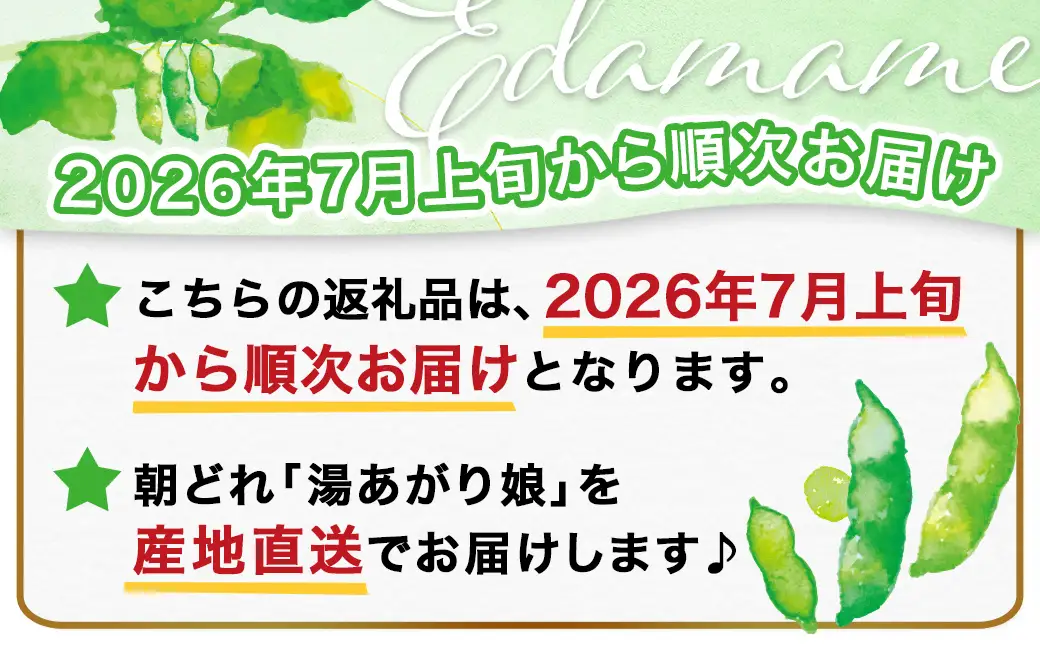 【先行受付】都城産枝豆(湯あがり娘)1.5kg(250g×6P)〔11-B402-7〕_(都城市) 都城産枝豆 湯あがり娘 1.5kg おつまみ 産地直送 先行受付