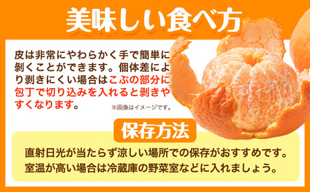 不知火 約3kg フレッシュフーズ 《2027年2月下旬-4月下旬頃出荷》熊本県産 (荒尾市産含む) 柑橘 フルーツ フレッシュフーズ 不知火 果物 デコポン と同品種 送料無料 果物 しらぬい 旬 オレンジ みかん 美味しい不知火 旬の不知火 ジューシー不知火 フルーツ不知火