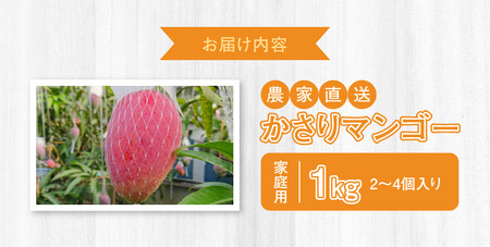【2026年 先行予約】【 奄美産 】 かさり マンゴー 家庭用 1kg A072-005 かさりマンゴー 完熟マンゴー 完熟 トロピカルフルーツ フルーツ トロピカル 先行受付 事前受付 事前予約 予約 受付 甘い デザート 美味しい 濃厚 ジューシー HARANAGA-FARM ふるさと納税 奄美市 おすすめ ランキング プレゼント ギフト