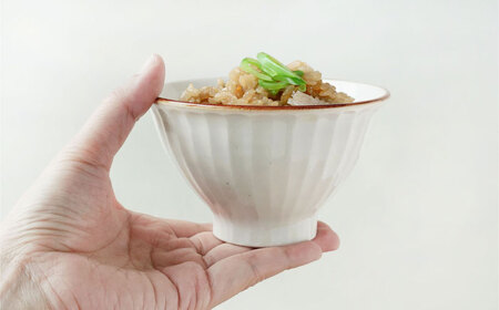 【波佐見焼】SHINOGI 茶碗 小 2点セット 生成【studio wani】[MB65]