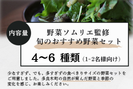 【数量限定】野菜ソムリエ 監修 旬の おすすめ 野菜 セット 4?6品 (1?2名様向け) 野菜 獲れたて 直送 旬 熊本県 多良木町 024-0801