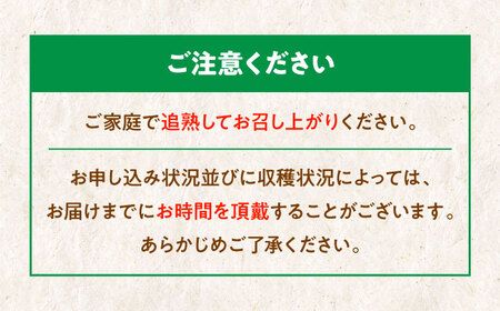 キウイ 訳あり 2kg キウイ [AGBC011]