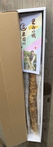 自然薯 【 約1.15kg 】 1本 千葉県産 11月上旬頃～順次発送 | マルショー農園 パイプ 栽培 ベテラン農家 長期保存 じねんじょ とろろ やまいも 山芋の卵焼き 麦とろご飯 ネバネバ丼 とろろそば 君津市 きみつ 千葉県