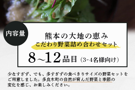 熊本の大地の恵み 旬の こだわり野菜詰め合わせセット 8?12品 （3?4名様向け）野菜 獲れたて 新鮮 野菜 セット 詰め合わせ 詰合せ 産地 直送 国産 季節 野菜 野菜セット やさい 家族 ファミリー 多良木町 024-0809