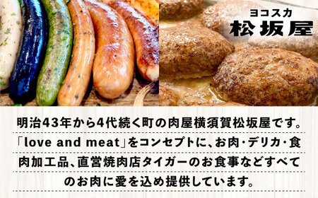 プレミアムハンバーグセット ソース入りとソース別付を各10個 ハンバーグ はんばーぐ ハンバーグ はんばーぐ【有限会社横須賀松坂屋】 [AKCY002-1]