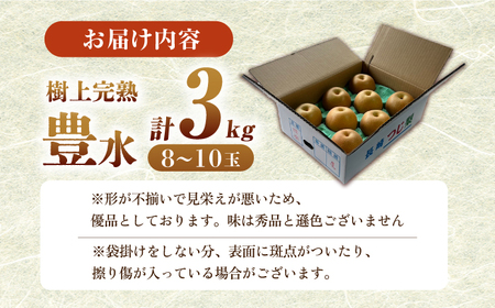 【2026年先行予約】梨（豊水）3kg箱[ECO002]梨 ほうすい