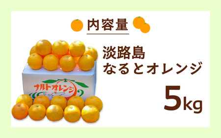 【数量限定】 淡路島なるとオレンジ 5kg 若宮ミカン農園 / オレンジ