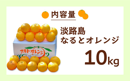  【数量限定】 淡路島なるとオレンジ 10kg 若宮ミカン農園 / オレンジ