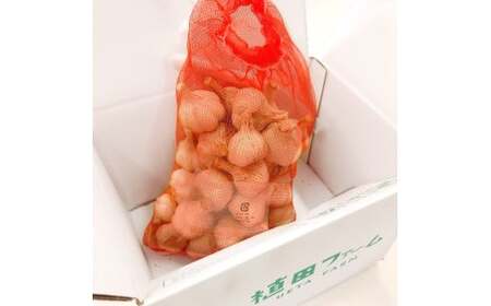 植田ファームの自然乾燥にんにく800g 800グラム ニンニク ガーリック おつまみ お酒 料理 醤油漬け ガーリックオイル ペペロンチーノ パスタ スパゲッティ【株式会社　植田ファーム】 [BQAT004]