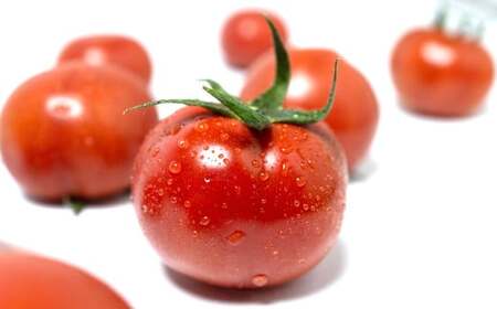 福岡県北九州市若松区産 若松濃縮トマト 約2.4kg 【1.2kg箱（15玉～30玉入り）×2箱】【2026年3月上旬～6月下旬発送予定】トマト とまと 野菜 国産 北九州市産