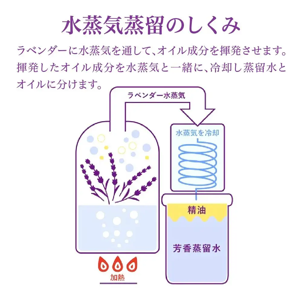 【ペリカン石鹸】ピーズルーツ ラベンダーハンドソープ 2本　【11218-0822】