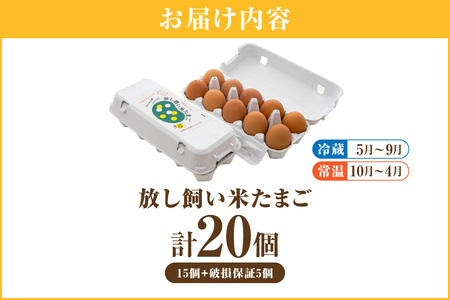 放し飼い米たまご15個+5個保証（計20個）農家直送 新鮮 卵 タマゴ 赤卵 玉子 鶏卵 朝食 夕食 夜食 朝ごはん たまご焼き オムレツ 卵ご飯 料理 濃厚 飼料にこだわった 卵かけご飯 米たまご 生卵 大容量 お取り寄せ 愛知県 常滑市