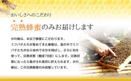 はちみつ 専門店【かの蜂】 国産 みかん 蜂蜜 500g 完熟の純粋蜂蜜 （とんがり容器） 蜂蜜 純粋 はちみつ みかん蜂蜜 国産