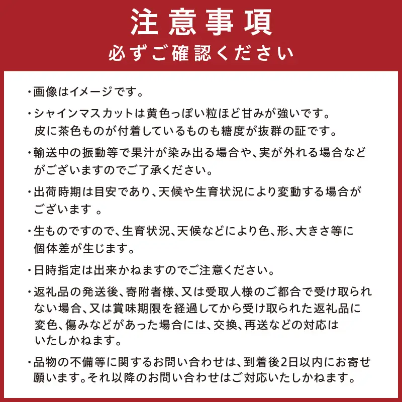 【先行予約／数量限定50】シャインマスカット 700g以上（1房入り）（2026年9月上旬～発送）