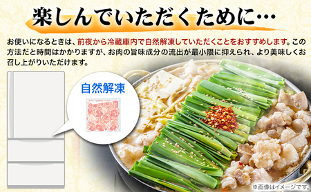 もつ鍋 博多 牛もつ鍋 セット 3~4人前 株式会社木村食品《30日以内に出荷予定(土日祝除く)》福岡県 鞍手郡 小竹町 牛 牛肉 もつ 鍋 送料無料