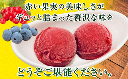 Fruits rouges (フリュイ ルージュ) オーガニックブルーベリー と 赤い果実 の ミックス シャーベット120ml × 12個 