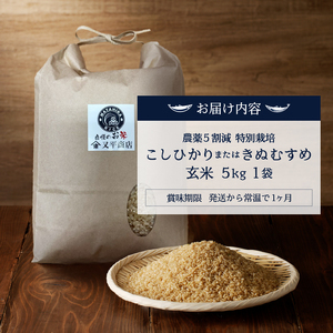 a13-142　令和７年産　農薬5割減 特別栽培 コシヒカリ または きぬむすめ 玄米 5kg
