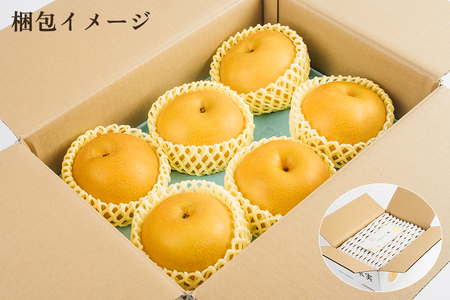 【2026年先行予約】【厳選】新潟県産 和梨 新興 5kg（7〜12玉）《10月下旬以降発送》 和梨 なし ナシ 果物 しんこう フルーツ 加茂市 いたみ果樹