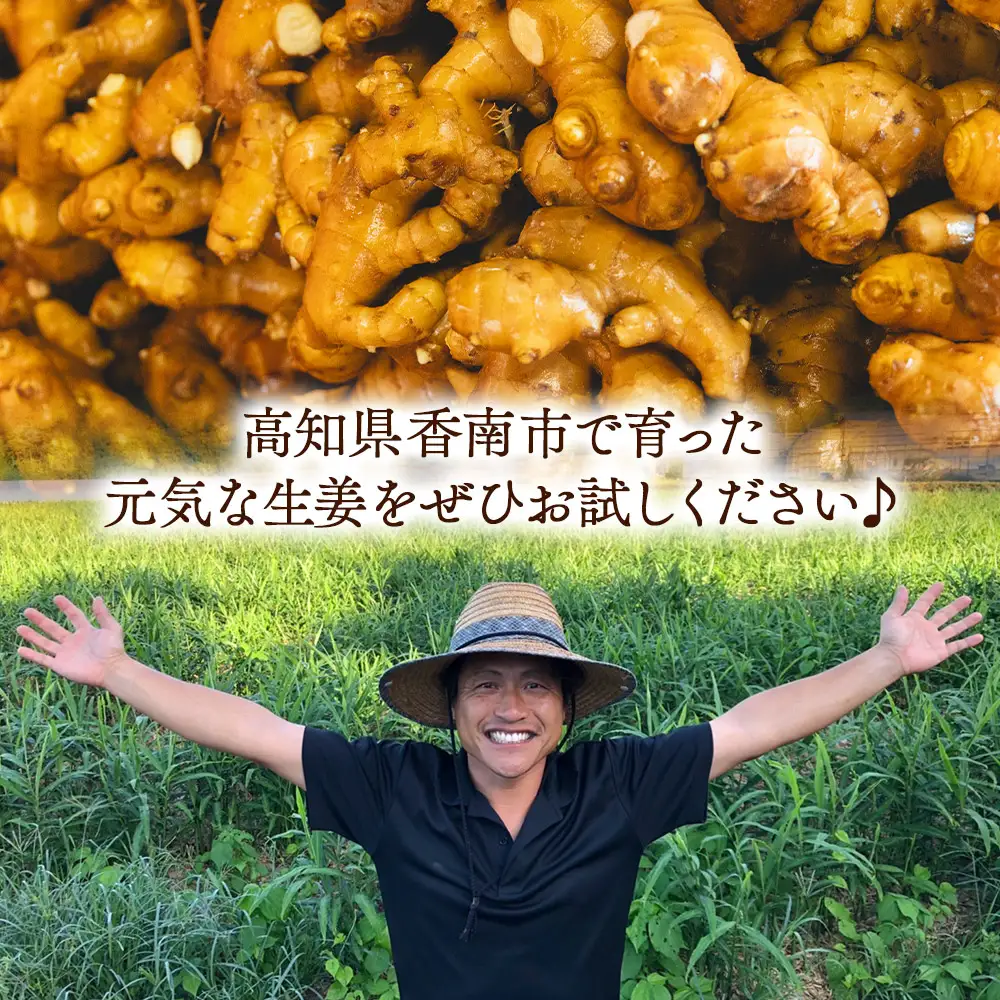生姜 2kg【生姜 生姜 生姜 生姜 生姜】 bc-0014