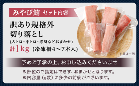【訳あり】みやび鮪 規格外切り落とし (大トロ・中トロ・赤身) 部位おまかせ 計1kg ／ マグロ 鮪 まぐろ 刺し身 刺身 国産 本まぐろ 本鮪 冷凍 魚 魚介 まぐろ丼 まぐろ漬け丼 海鮮丼 おすすめ 長崎