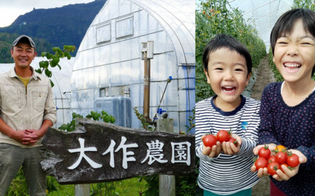 ＜2026年7月上旬よりお届け＞北海道壮瞥産 大作農園のカラフルミニトマト約1.5kg(5種以上) SBTR002