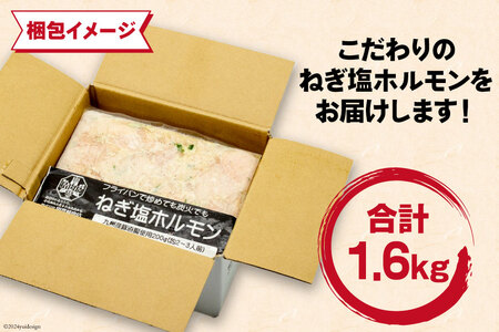 ホルモン 九州産 ねぎ塩 ホルモン 200g 8袋 計 1.6kg [甲斐精肉店 宮崎県 日向市 452060692]