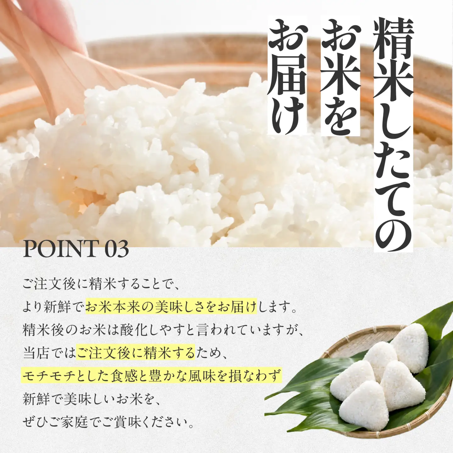 【コシヒカリ】令和7年産 白米30kg【5営業日以内に発送】