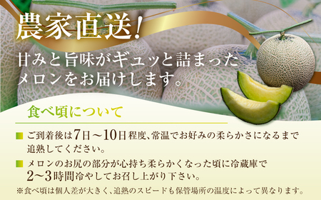 【定期便】メロン・イチゴ定期便 全2回