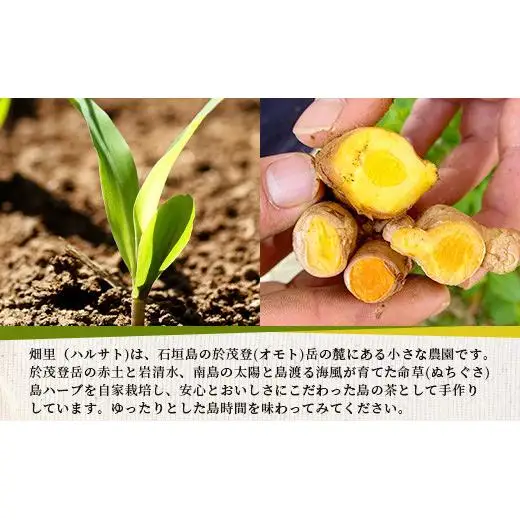 太陽の茶（12種類ブレンド）　HR-1