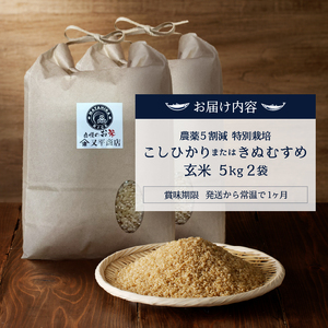 a25-071　令和７年産　農薬5割減 特別栽培 コシヒカリ または きぬむすめ 玄米 10kg（5kg×2袋）