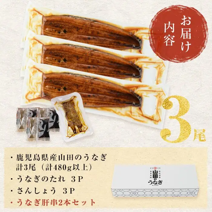 うなぎ 蒲焼 山田 鹿児島産 3尾 (計480g以上) 肝串セット 【ポータル限定】 a6-062-km