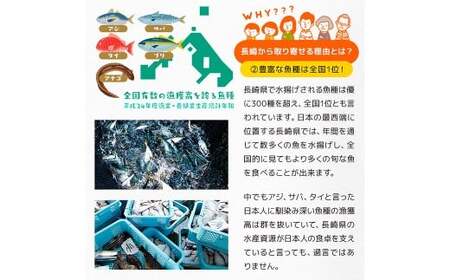 真アジ一夜干し 21尾 ／ 海鮮 魚介 干物 ひもの あじ 鯵 アジ 長崎県 長崎市