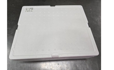 サワラ西京漬け　100gｘ16切　西京漬け サワラ 切身 ウコン 甘口風味 健康志向 三重県 津市 魚貝類 漬魚 味噌漬け 