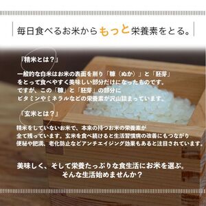 【選べる精米率】 令和7年産 三重県産 コシヒカリ 5kg [ 白米 玄米 5分つき米 7分つき米 ]　三重県津市 5分つき米