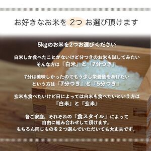 【選べる精米率】 令和7年産 三重県産 コシヒカリ 10kg ( 5kg × 2袋 )[ 白米 玄米 5分つき米 7分つき米 ]　三重県津市 白米 5kg･5分つき米 5kg