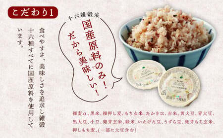 【定期便8ヶ月】阿蘇だわら 十六雑穀ごはん パックライス 160g×30パック 十六雑穀 雑穀 ごはん 米  香り 甘み  国産 定期便 お米