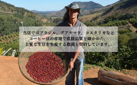 ブラジル珈琲鑑定士おすすめ！ 自家焙煎珈琲 極上 スペシャルティセット ギフト 贈り物 プレゼント 人気 厳選 コーヒー 袋井市 コーヒー豆 珈琲豆 詰め合わせ  （豆）