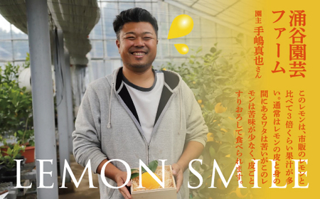 【先行予約】皮まで美味しい黄金レモン6個セット　※2027年1月中に順次発送予定【wakuyaengei004】