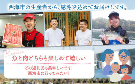 12回定期便 肉と海 西海の宝物定期便 西海市 | [CZZ022]