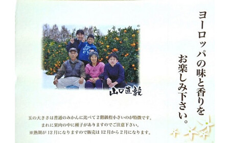 013-0022〔山口柑橘園〕クレメンティンジュース6本セット 【2026年9月下旬までに発送予定】