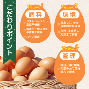 【3ヶ月定期便】たまご家のハーブ卵（笑顔）30個 たまご定期便 卵 たまご 玉子 たまご家定期便 ハーブ卵定期便 新鮮卵 定期便卵 たまご家の卵 エッグス 佐賀県 太良町 PF1