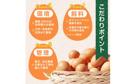【12ヶ月定期便】たまご家のハーブ卵（笑顔）30個 鶏卵 生卵 たまご 卵 佐賀県 太良町 T26