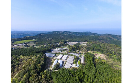 OA-6 金星佐賀豚　ハンバーグ150g 　10個セット ブランド豚 国産 真空パック 小分け 冷凍 ギフト 贈り物 ハンバーグ 定期便