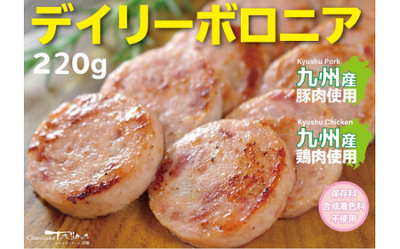N-195 N30H 太良町月の引力セット 超粗挽きフランク２本入 200g  ベーコンステーキ 100g 燻し鶏のマリネ 170g  デイリーボロニアソーセージ 220g デイリー絹挽きウインナー 220g 黒こしょうウインナー 120g 荒挽きウインナー 120g フランク ベーコン マリネ ソーセージ ウインナー 冷蔵便 人気 シャルキュティエ田嶋 太良町