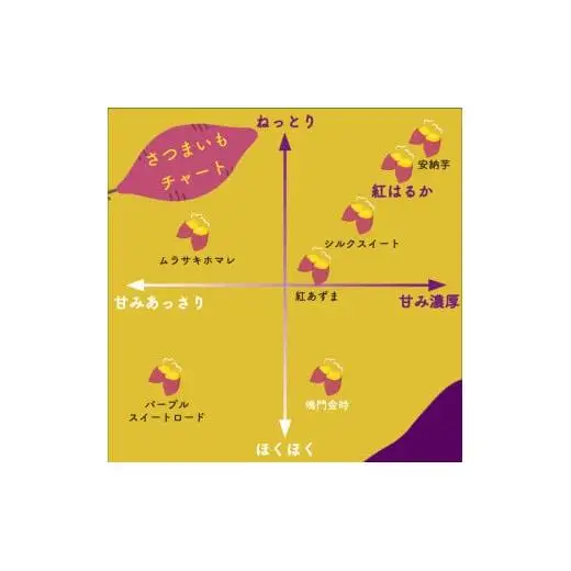 冷凍 焼き芋  選抜 紅はるか やきいも 1kg 【田條園】