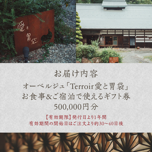 【Terroir愛と胃袋】お食事＆ご宿泊ギフト券【500,000円分】 [h295]