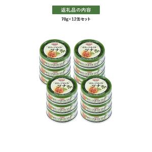 【最短3日以内発送】オリーブオイルツナ缶セット 12缶 まぐろ油漬フレーク(70g×12缶)_計840g◆